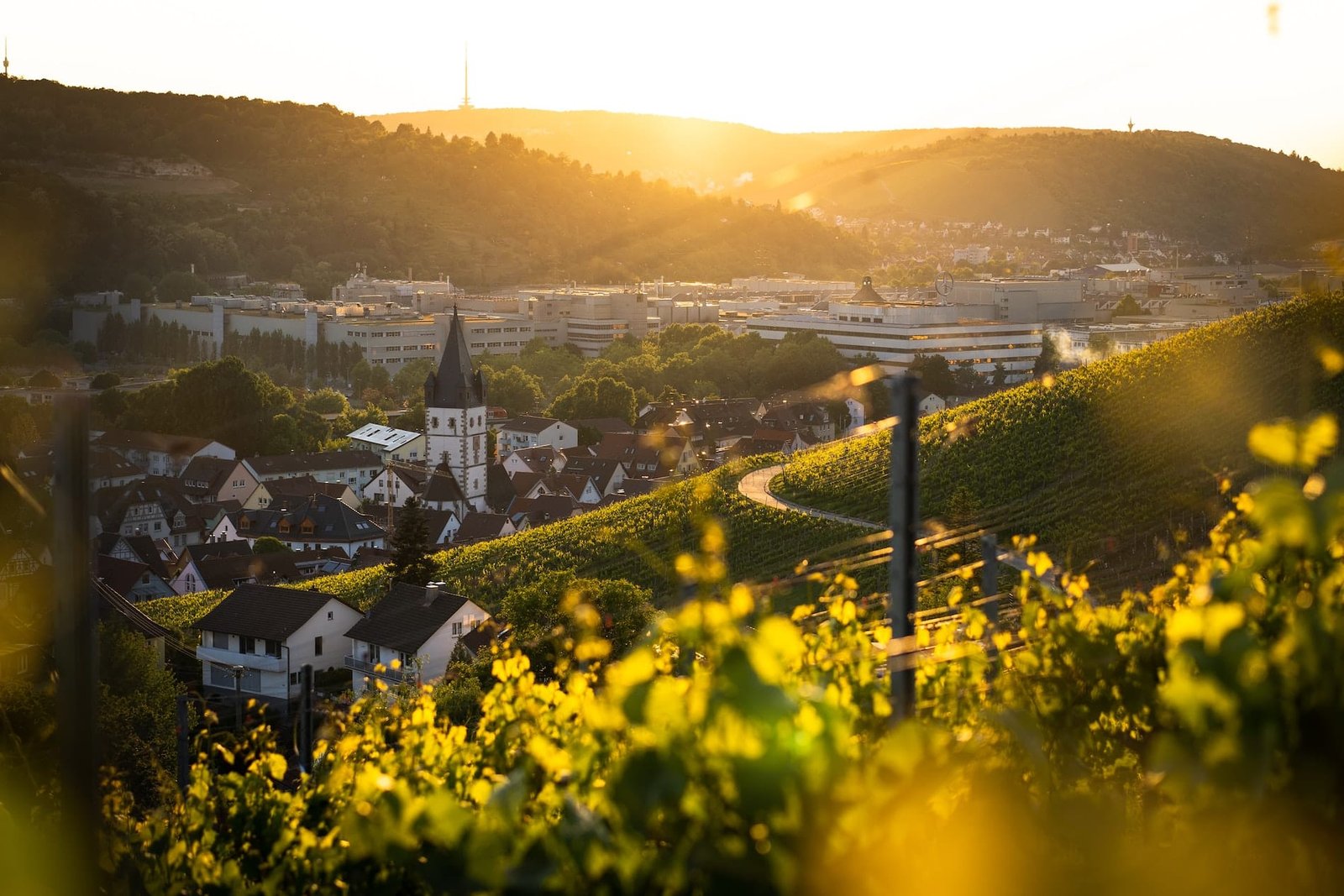 tobias-schmucker-Qj1Sa-LxtEk-unsplash